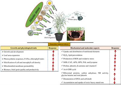 Nanosilicon: An approach for abiotic stress mitigation and sustainable agriculture